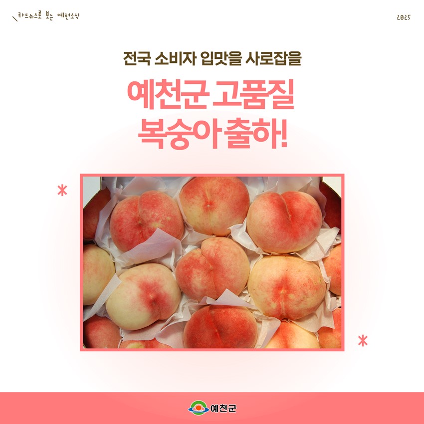 1.전국 소비자 입맛을 사로잡을 예천군 고품질 복숭아 출하!